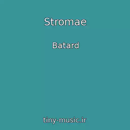 کاور آهنگ Stromae از Batard