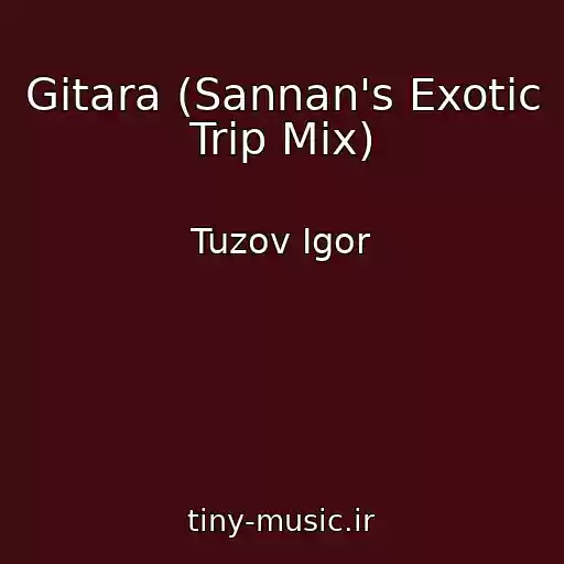 کاور آهنگ Gitara (Sannan's Exotic Trip Mix) از Tuzov Igor