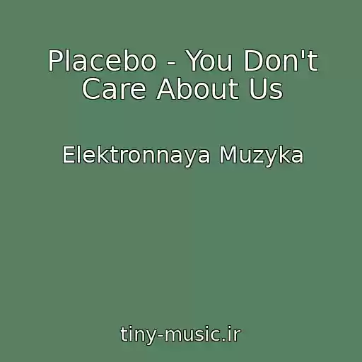 کاور آهنگ Placebo - You Don't Care About Us از Elektronnaya Muzyka