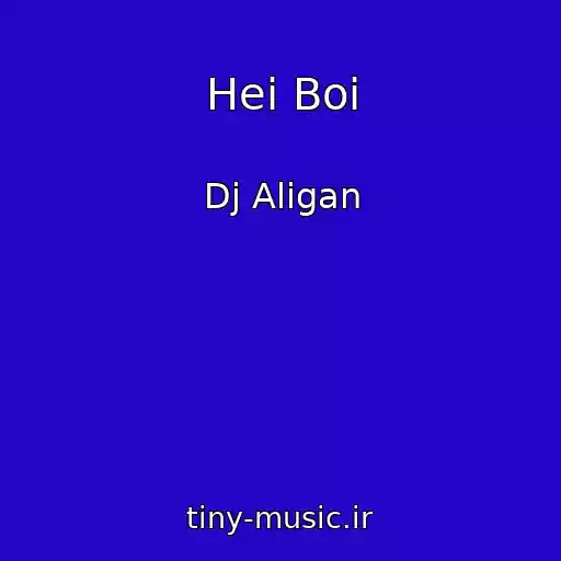 کاور آهنگ Hei Boi از Dj Aligan