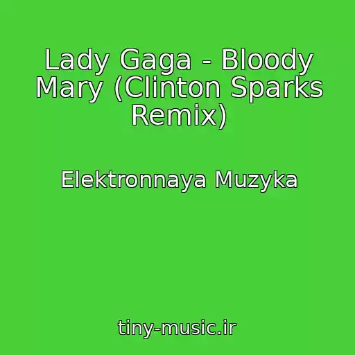 کاور آهنگ Lady Gaga - Bloody Mary (Clinton Sparks Remix) از Elektronnaya Muzyka