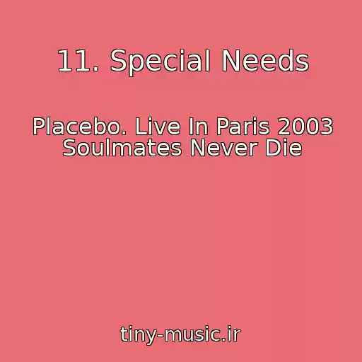 کاور آهنگ 11. Special Needs از Placebo. Live In Paris 2003 Soulmates Never Die