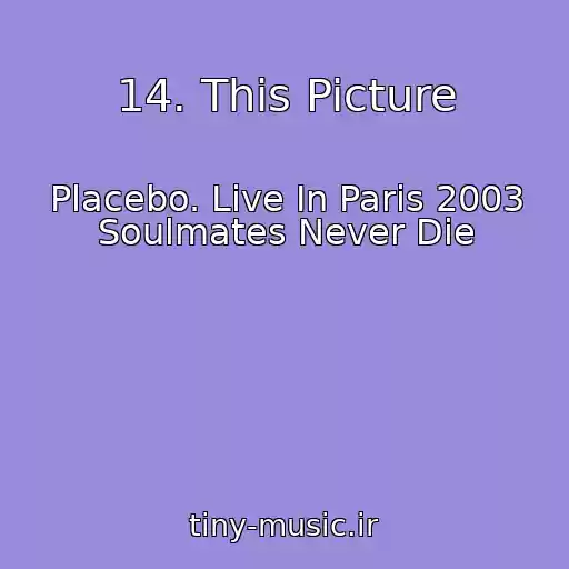 کاور آهنگ 14. This Picture از Placebo. Live In Paris 2003 Soulmates Never Die