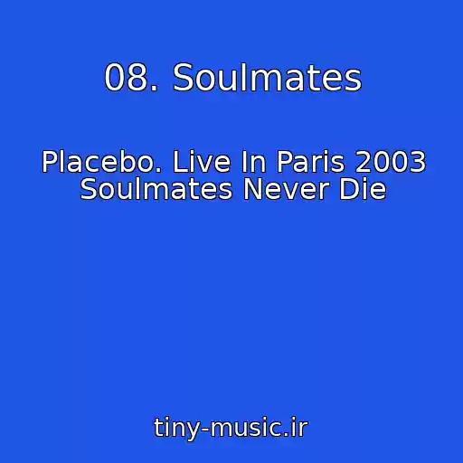 کاور آهنگ 08. Soulmates از Placebo. Live In Paris 2003 Soulmates Never Die