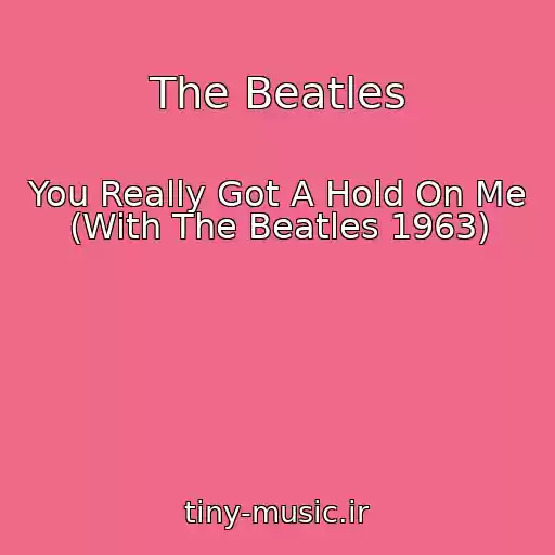 کاور آهنگ The Beatles از You Really Got A Hold On Me (With The Beatles 1963)