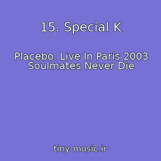 کاور آهنگ 15. Special K از Placebo. Live In Paris 2003 Soulmates Never Die