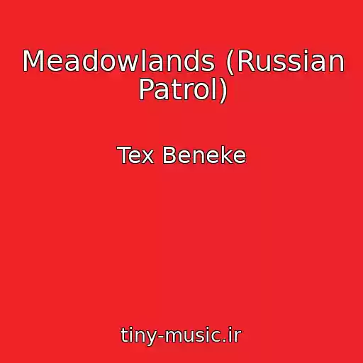 کاور آهنگ Meadowlands (Russian Patrol) از Tex Beneke