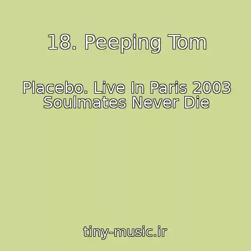 کاور آهنگ 18. Peeping Tom از Placebo. Live In Paris 2003 Soulmates Never Die