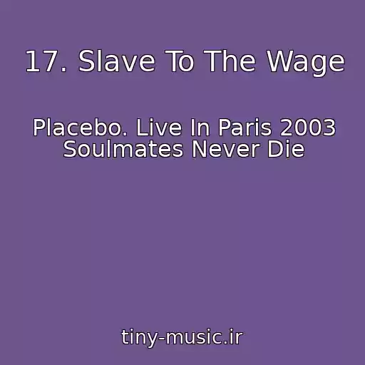 کاور آهنگ 17. Slave To The Wage از Placebo. Live In Paris 2003 Soulmates Never Die