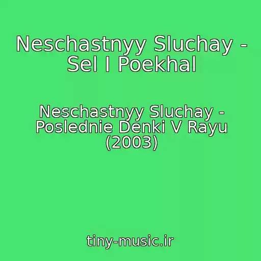کاور آهنگ Neschastnyy Sluchay - Sel I Poekhal از Neschastnyy Sluchay - Poslednie Denki V Rayu (2003)