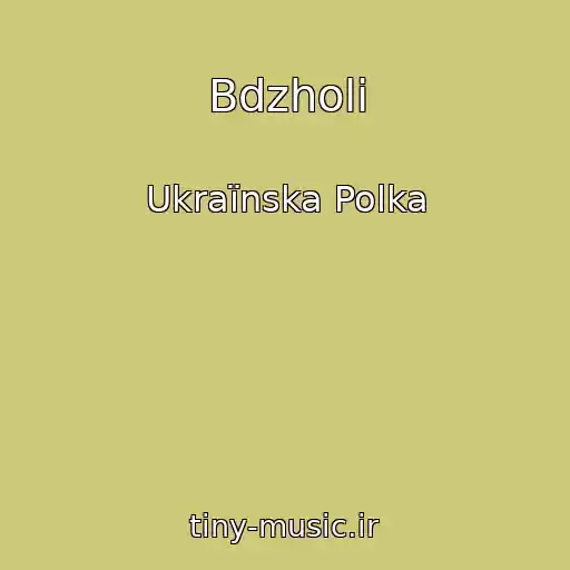 کاور آهنگ Bdzholi از Ukraїnska Polka