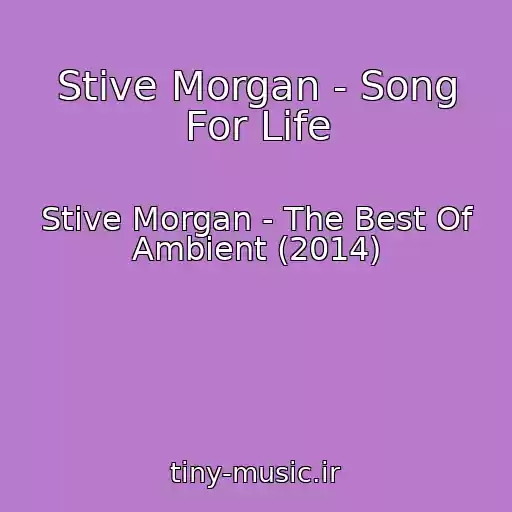 کاور آهنگ Stive Morgan - Song For Life از Stive Morgan - The Best Of Ambient (2014)
