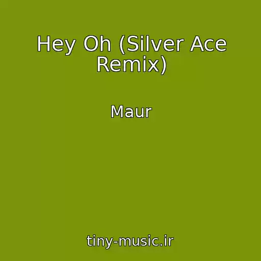 کاور آهنگ Hey Oh (Silver Ace Remix) از Maur