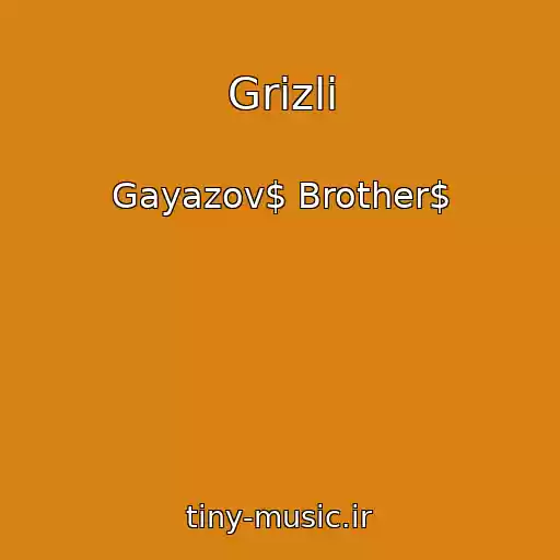کاور آهنگ Grizli از Gayazov$ Brother$