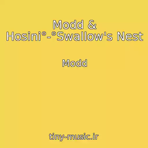 کاور آهنگ Modd & Hosini°-°Swallow's Nest از Modd
