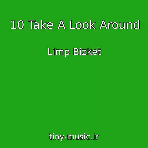 کاور آهنگ 10 Take A Look Around از Limp Bizket