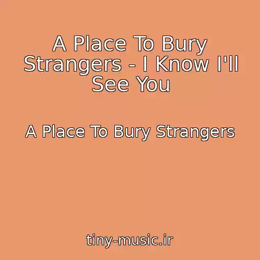 کاور آهنگ A Place To Bury Strangers - I Know I'll See You از A Place To Bury Strangers