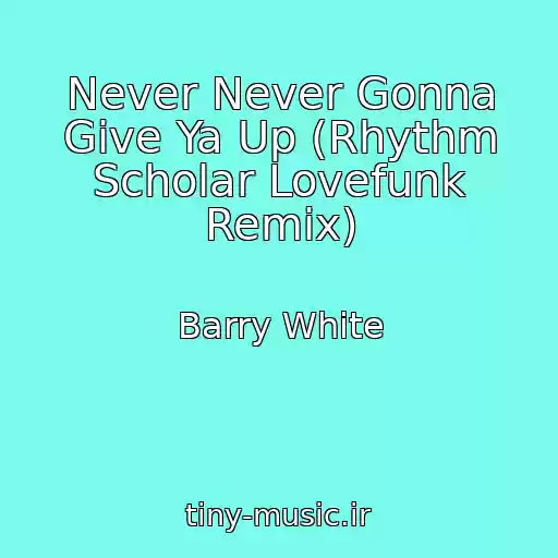 کاور آهنگ Never Never Gonna Give Ya Up (Rhythm Scholar Lovefunk Remix) از Barry White