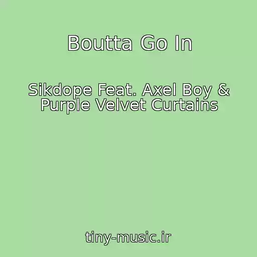 کاور آهنگ Boutta Go In از Sikdope Feat. Axel Boy & Purple Velvet Curtains