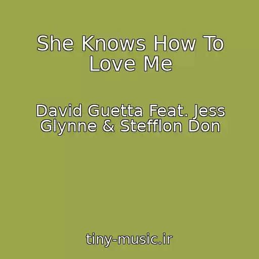 کاور آهنگ She Knows How To Love Me از David Guetta Feat. Jess Glynne & Stefflon Don