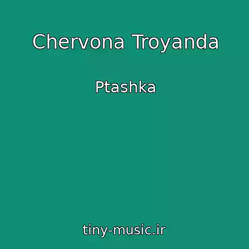 کاور آهنگ Chervona Troyanda از Ptashka