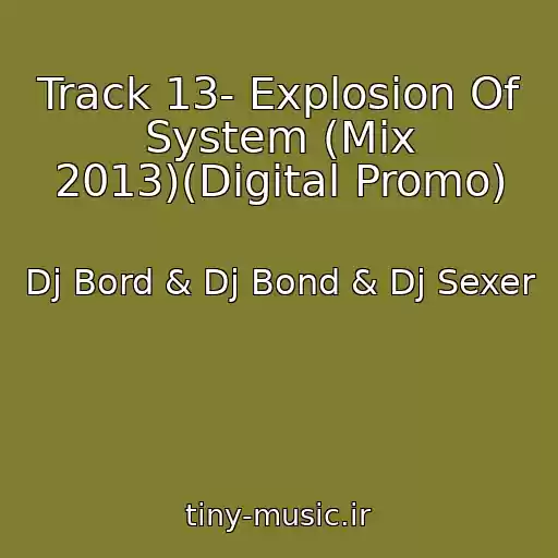 کاور آهنگ Track 13- Explosion Of System (Mix 2013)(Digital Promo) از Dj Bord & Dj Bond & Dj Sexer