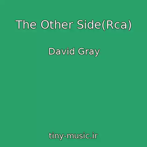 کاور آهنگ The Other Side(Rca) از David Gray