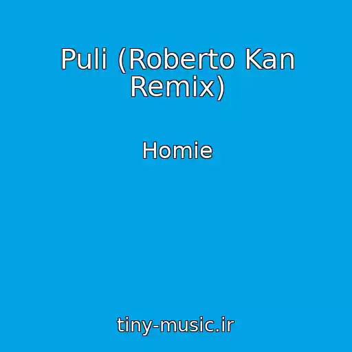 کاور آهنگ Puli (Roberto Kan Remix) از Homie