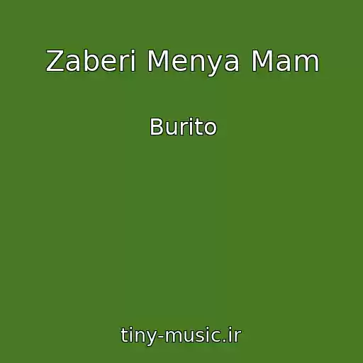 کاور آهنگ Zaberi Menya Mam از Burito
