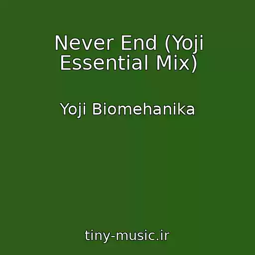کاور آهنگ Never End (Yoji Essential Mix) از Yoji Biomehanika