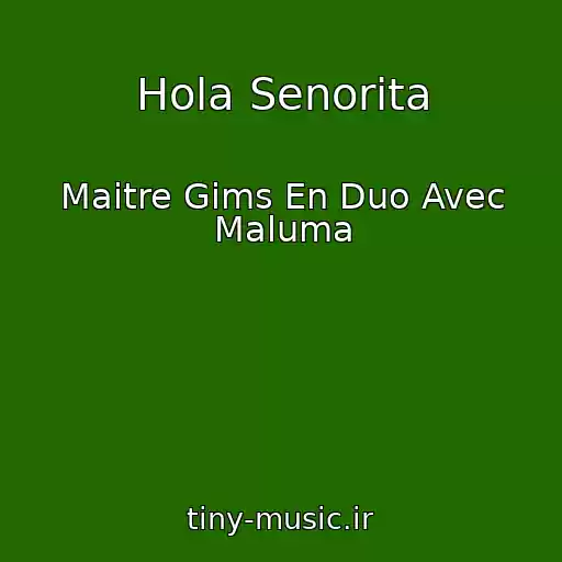 کاور آهنگ Hola Senorita از Maitre Gims En Duo Avec Maluma