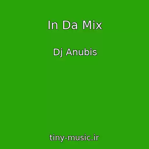 کاور آهنگ In Da Mix از Dj Anubis
