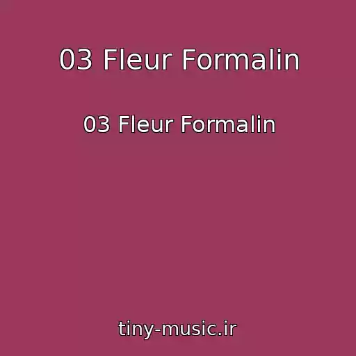 کاور آهنگ 03 Fleur Formalin از 03 Fleur Formalin