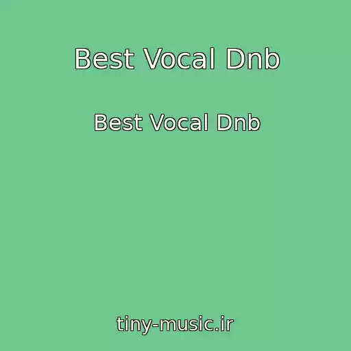 کاور آهنگ Best Vocal Dnb از Best Vocal Dnb