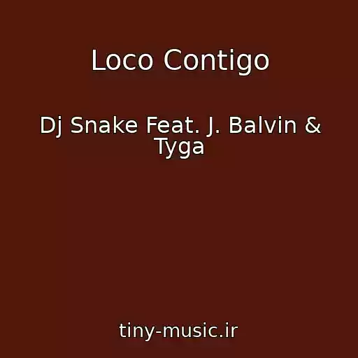 کاور آهنگ Loco Contigo از Dj Snake Feat. J. Balvin & Tyga