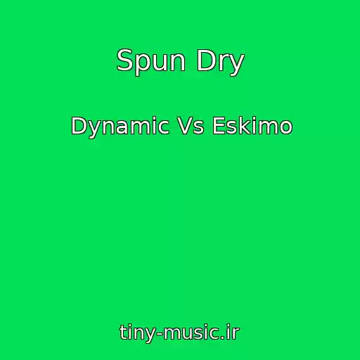 کاور آهنگ Spun Dry از Dynamic Vs Eskimo