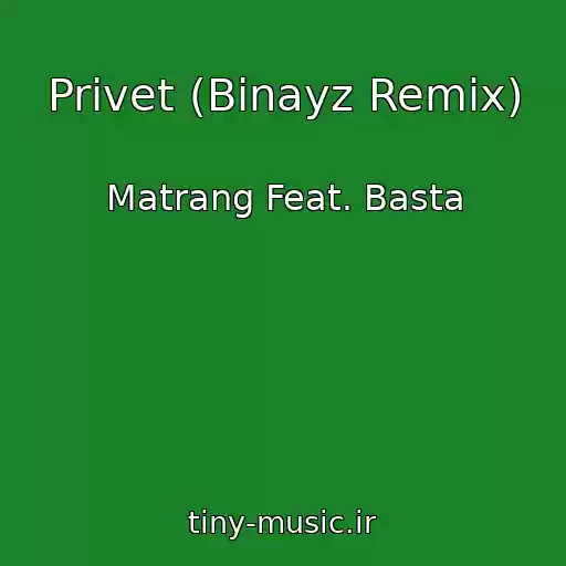 کاور آهنگ Privet (Binayz Remix) از Matrang Feat. Basta
