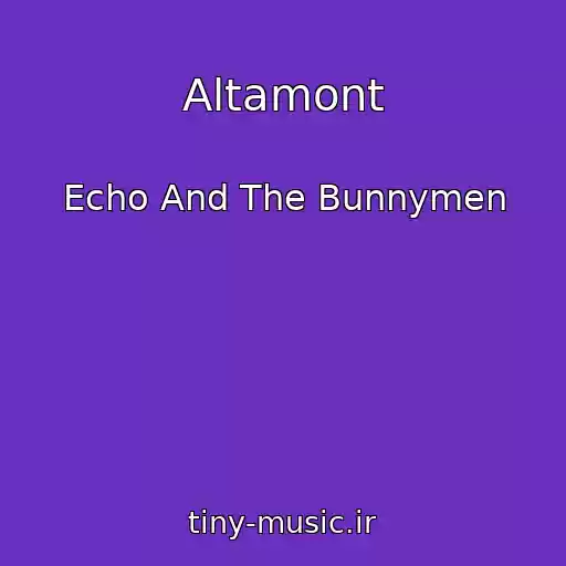 کاور آهنگ Altamont از Echo And The Bunnymen