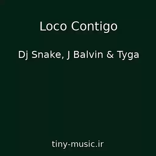 کاور آهنگ Loco Contigo از Dj Snake, J Balvin & Tyga
