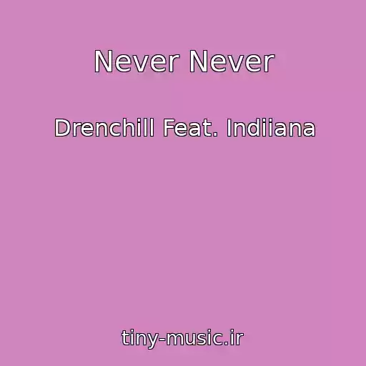 کاور آهنگ Never Never از Drenchill Feat. Indiiana