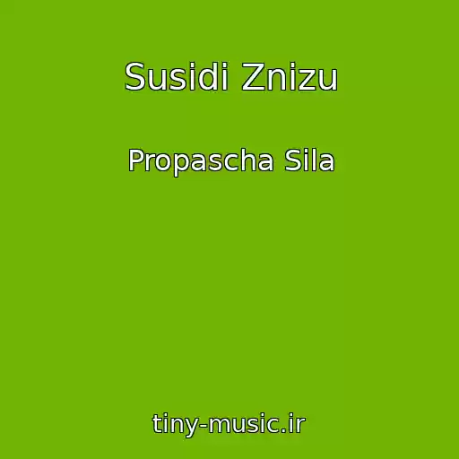 کاور آهنگ Susіdi Znizu از Propascha Sila