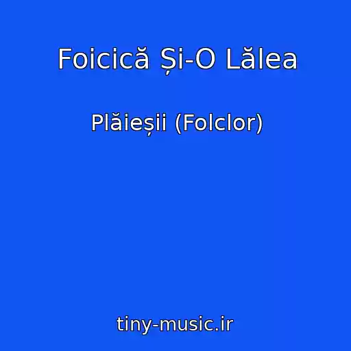 کاور آهنگ Foicică Și-O Lălea از Plăieșii (Folclor)