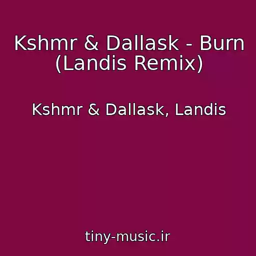 کاور آهنگ Kshmr & Dallask - Burn (Landis Remix) از Kshmr & Dallask, Landis