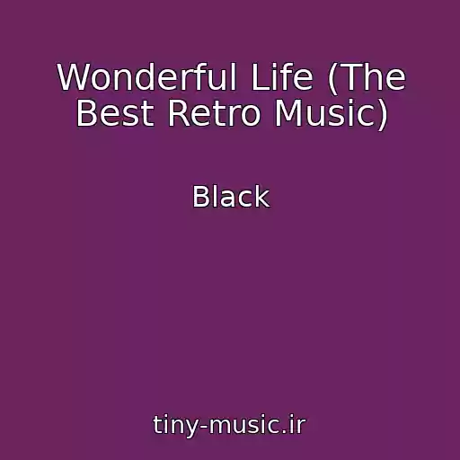 کاور آهنگ Wonderful Life (The Best Retro Music) از Black