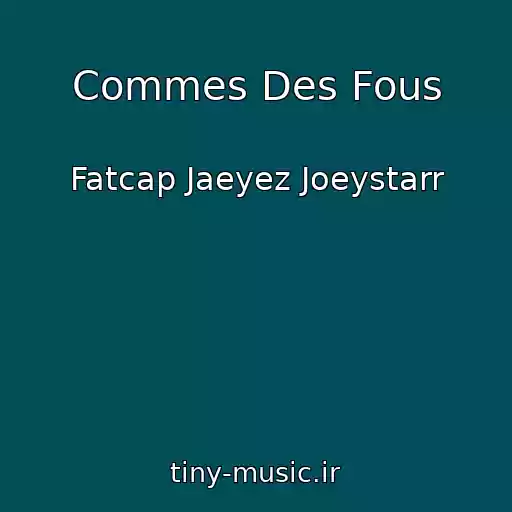 کاور آهنگ Commes Des Fous از Fatcap Jaeyez Joeystarr