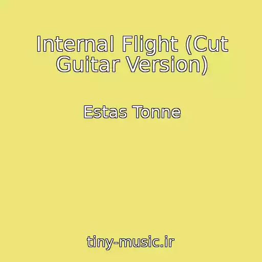 کاور آهنگ Internal Flight (Cut Guitar Version) از Estas Tonne