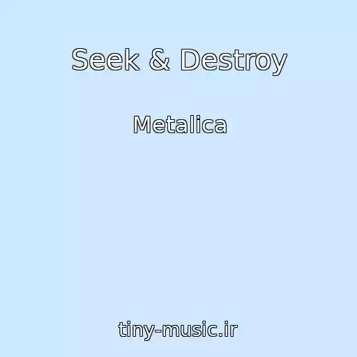 کاور آهنگ Seek & Destroy از Metalica