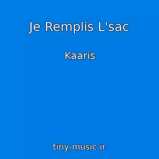 کاور آهنگ Je Remplis L'sac از Kaaris