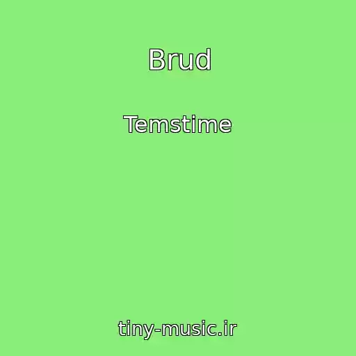 کاور آهنگ Brud از Temstime
