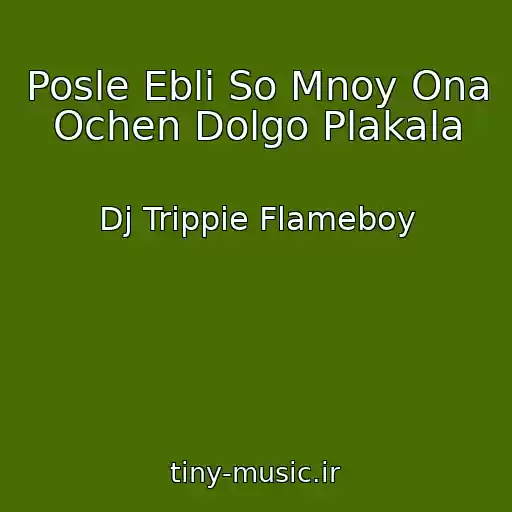 کاور آهنگ Posle Ebli So Mnoy Ona Ochen Dolgo Plakala از Dj Trippie Flameboy